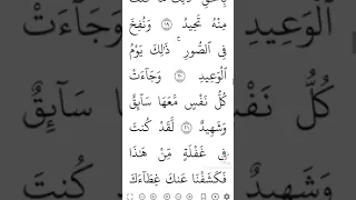 سورة ق القارئ حسن ادريس 