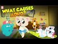 Download Lagu Don't Like To Do Your Homework? What Is ADHD? | Hyperactivity | The Dr. Binocs Show | Peekaboo Kidz