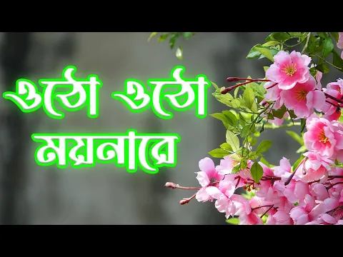 Download MP3 ওঠো ওঠো ময়নারে | oto oto moynara | বাংলা গজল | Gojol | Best Gojol 2022