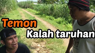 Download Ditinggal Santos bulan madu - (D’JTOS) - TEMON KICIR KICIR MP3