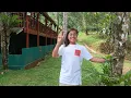 Download Lagu I Stayed In The Cinnamon Village Singharaja Resort,How Is It?