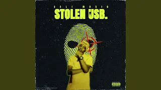 stolen usb