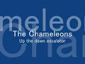 The Chameleons -  Up the down escalator(Audio)