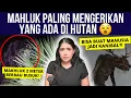 MAKHLUK MISTERIUS di HUTAN: SKUNK APE \u0026 WENDIGO 😰