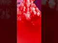 Download Lagu trending dance# song #red sky#exit#trending #viralvideo