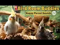 Lagu Bird Room Buddies | Keep Your Parrot Happy with Bird Room Parrot Sounds—Parrot Town TV for Birds🌿🦜❤️