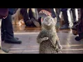 Narnia Soundtrack - Reepicheep Theme