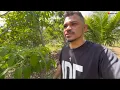 Download Lagu FIQUEI IMPRESSIONADO COM A BELEZA DESSE LUGAR AQUI NO INTERIOR