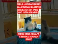 Download Lagu ADUH SAMBIL NGAMBEK SAMBIL MAINAN JIMAT MBUL MBUL || US EONG #kucingpeliharaan #ngambek #kucing