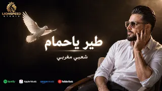 طير ياحمام                                                               دندنها