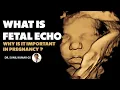 What is Fetal Echo Why is it Important in Pregnancy