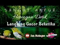 Download Lagu terapi air pleci betina memanggil jantan memancing pleci jantan agar gacor