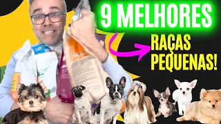 TOP 9 RAÇÕES INCRÍVEIS para Cães de Raças Pequenas! 🐾 Descubra Agora!