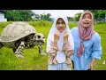 ADA KERANGKA HEWAN KURA KURA BESAR 😱 SAAT BERANGKAT MENGAJI