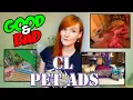 Leopard Gecko Edition Craigslist Pet Ads Munchie s Place