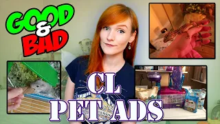 Leopard Gecko Edition Craigslist Pet Ads Munchie s Place