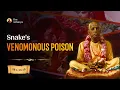 Lagu Snake's Venomonous Poison | SB 1.13.10 | Geneva | Srila Prabhupada