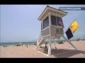 Alliance s Leadership Study Trip covered by local Austin TX TV Station