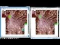 Multi User Mosaic Editing