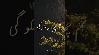 Lyrical Main Yahaan Hoon Song With Lyrics Veer Zaara Shah Rukh Khan Preity Zinta Javed Akhtar 