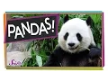 The Problem With Pandas Animal Science for Kids