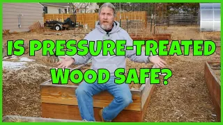 Is Pressure Treated Wood Safe for Raised Garden Beds