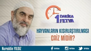 Hayvanların kısırlaştırılması caiz midir?