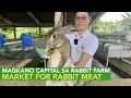 Download Lagu How Much Capital to Start a Rabbit Farm? + Rabbit Meat - How to Find Target Market!