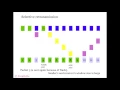 Selective retransmission demonstration