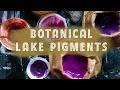 The process of making Botanical Lake Pigments