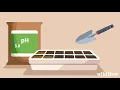 Download Lagu How to Plant Cannabis Seeds Indoors