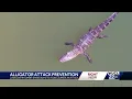What to do if you are attacked by an alligator