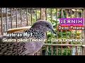 Download Lagu SUARA PIKAT BURUNG TEKUKUR/DERKUKU + CARA DOWNLOAD Mp3 Durasi Panjang #tekukur #tekukurgacor