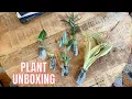 THE GREEN ESCAPE PLANT UNBOXING