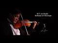 M.T.von Paradis- Sicilienne in E-flat major Djavan Caetano violin