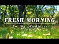 Download Lagu 🌿🌞Begin Your Day with the POSITIVE ENERGY of Healing Spring Sounds🌿Fresh Morning Ambience Meditation