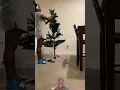 Christmas with AD