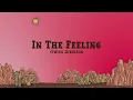 Owen Riegling - In The Feeling (Lyrics)