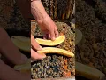 Feeding Bees A Banana! 🍌🐝 #shorts