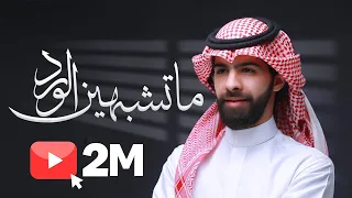 ماتشبهين الورد     معاذ الجماز         النسخة الاصلية حصري دندنها