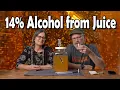 14 White Grape Juice Wine from Juice - Step Feed Wine