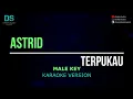 Astrid - terpukau (karaoke version) MALE KEY