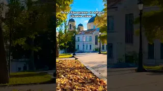 Пісня Хризантеми про дитинство бабусині руки які пахнуть медом Україна співає сучасні пісні 