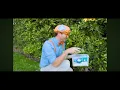 YTP blippi poops In a pool