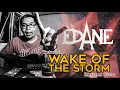 Download Lagu Edane - Wake Of The Storm || TUTORIAL RHYTHM GITAR versi suka suka gue