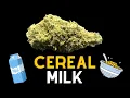 Cereal Milk Strain HEADY WEED STRAIN REVIEW