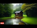 Thunder & Rain Sounds for Sleeping | Remove Insomnia Forever | Thunderstorm Sounds For Insomnia