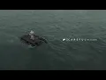 CAREFUL (Audio) - NF & Cordae