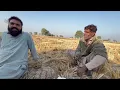 Zameeno mein BaBa g ka Falsafa | Baba g ko ch chapa ki offer 🤣