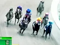 Peters nails the Belmont Stakes winner